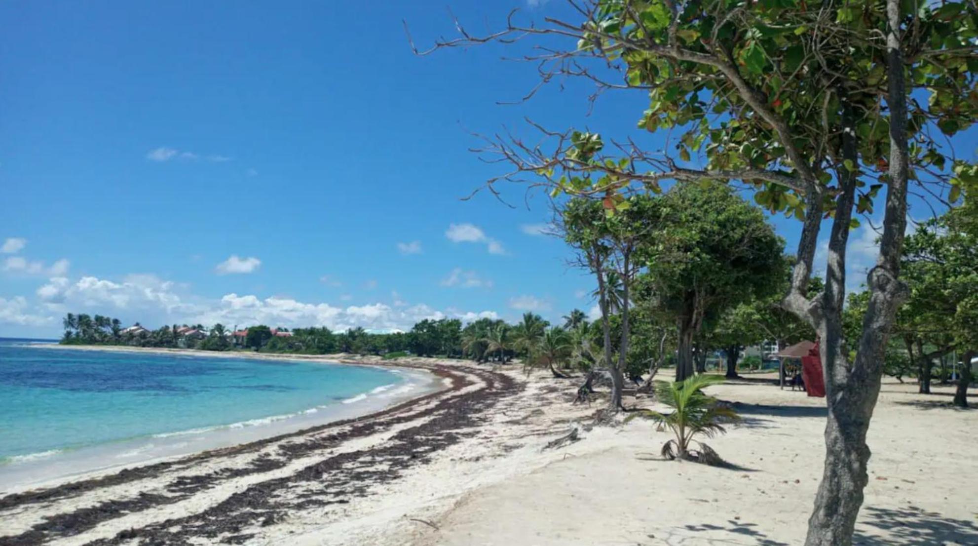 Villa Cristalline Douceur des Alizés Belle-Allée Esterno foto