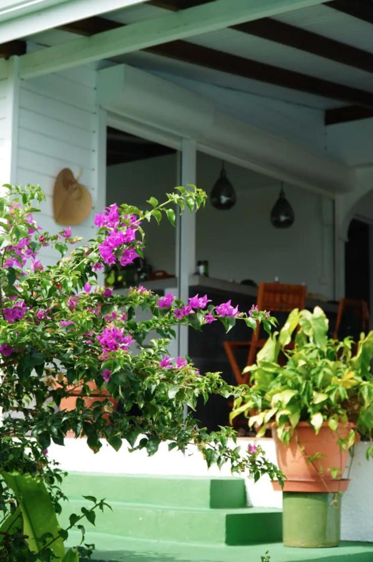 Villa Cristalline Douceur des Alizés Belle-Allée Esterno foto